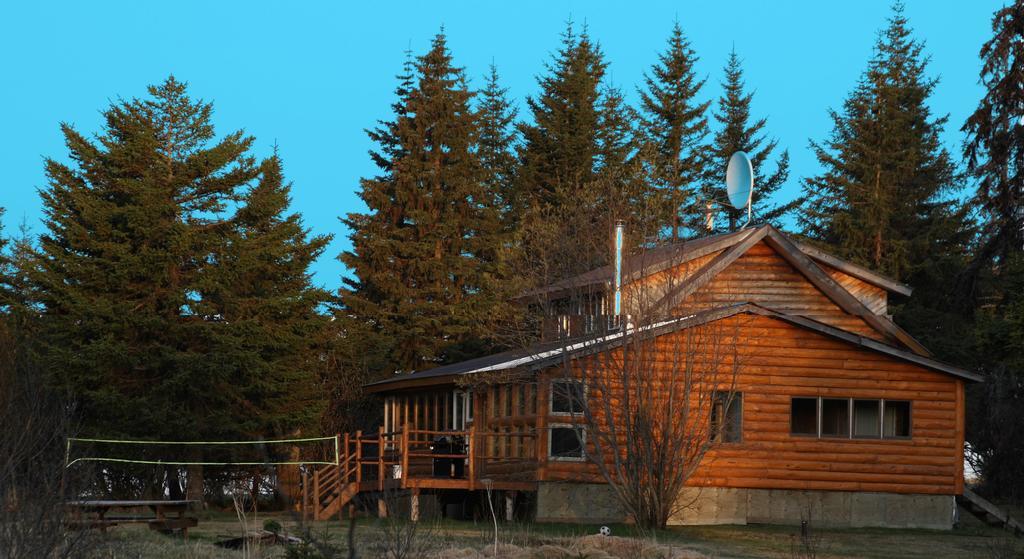 Bear Den Vacation Home Anchor Point Pokoj fotografie